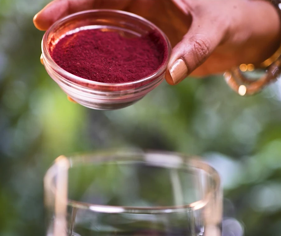 Dried Fruit Powder