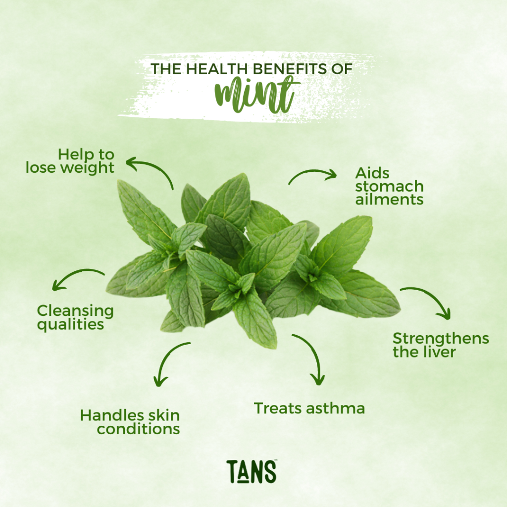 You may be surprised to learn just how many benefits there are to incorporating mint into your daily routine. This versatile herb can be used in many different ways, and each method comes with its own array of benefits. From improving digestion to alleviating congestion, mint has a host of health benefits that make it well worth adding to your diet. TANS Rawblend Organ Cleanse
