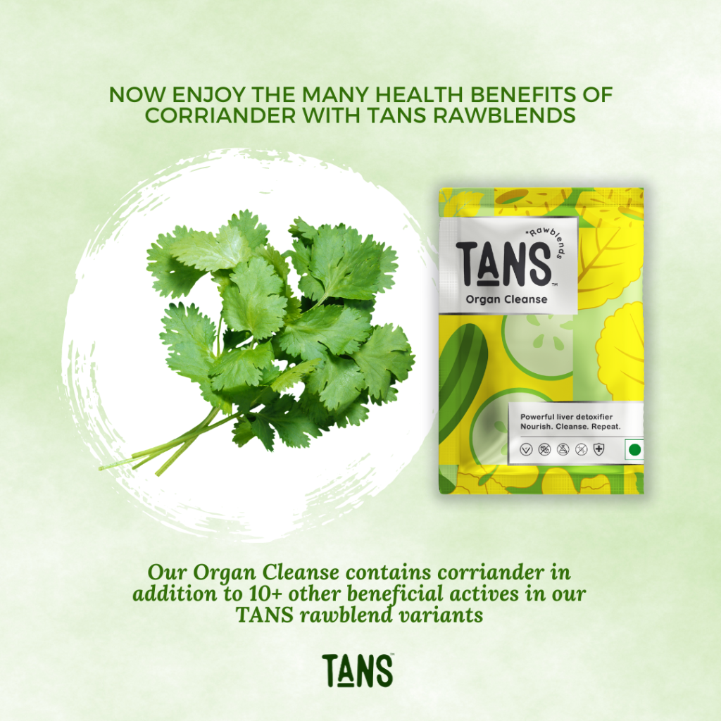 Coriander being a simple herb is majorly overlooked for its health benefits that very few people know about. This herb is packed with many antioxidants that have a positive impact on immunity and might have anti-cancer and neuroprotective effects. Coriander has been observed to lower cholesterol and lower blood pressure very effectively.
