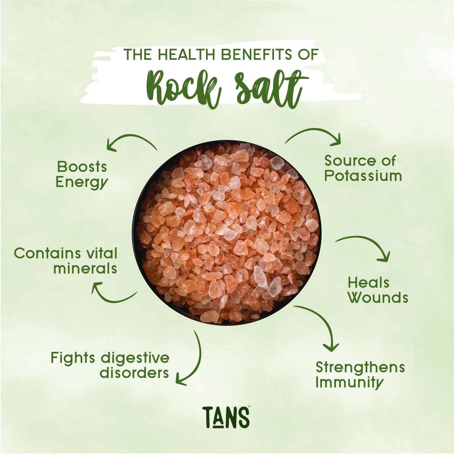 Rock Salt and Sea Salt TANS Tasty Accessible Nutritional Support
